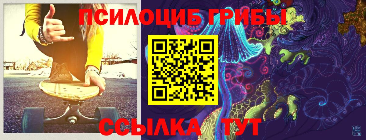 Галлюциногенные грибы мухоморы Обнинск