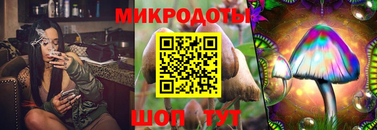 Меф Обнинск